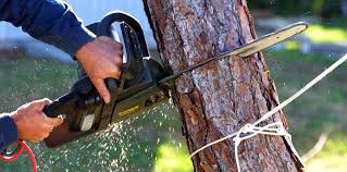 Best Lawn Mowing  in Woodbourne, PA