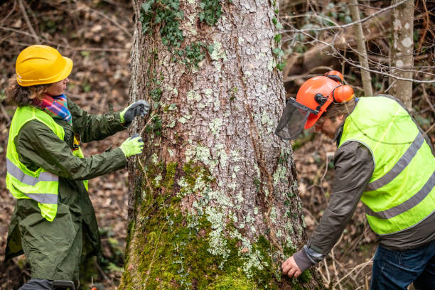 Best Tree and Shrub Care  in Woodbourne, PA
