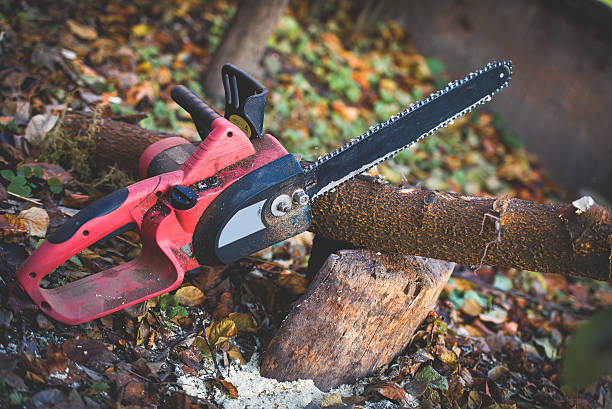 Best Aeration Services  in Woodbourne, PA